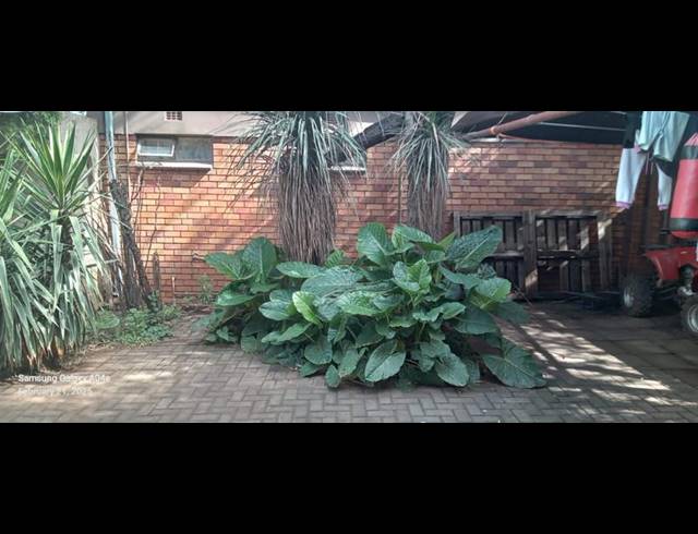 3 BEDROOM TOWNHOUSE FOR SALE IN DELMAS